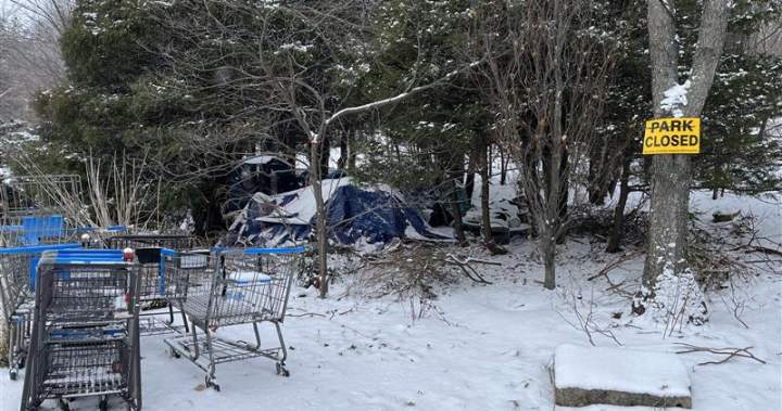 Halifax designated tent encampment closes however availability of shelter areas unsure – Halifax | USAEMALL.com