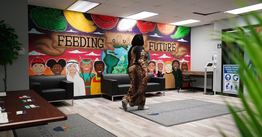 Minnesota officers noticed indicators of huge fraud even earlier than COVID hit | USAEMALL.com