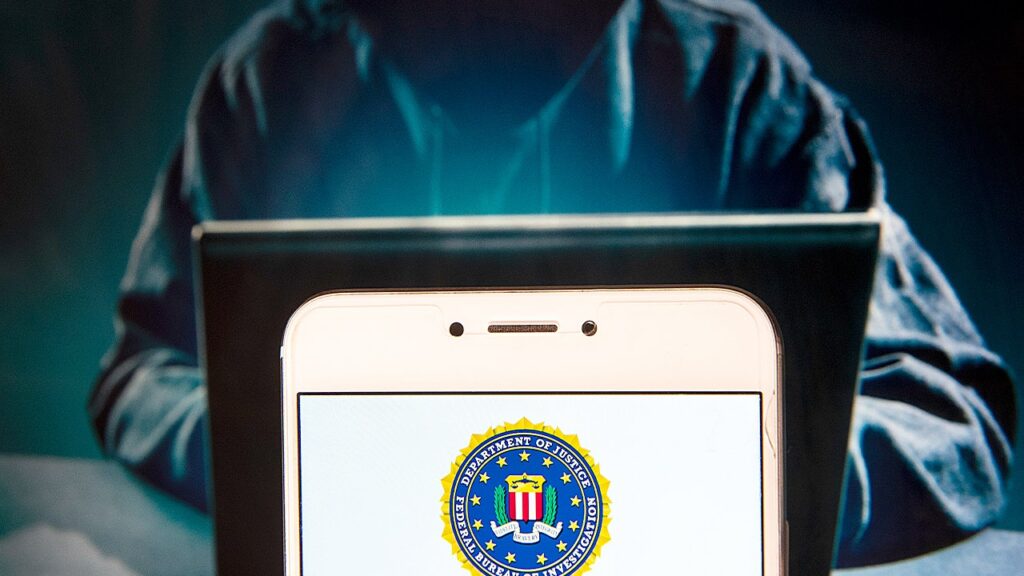 DOJ prices Ukrainian girl for alleged cyberattacks on US infrastructure | USAEMALL.com