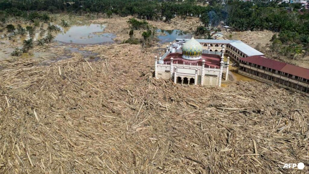 Indonesia to revoke 22 forestry permits after lethal floods | USAEMALL.com