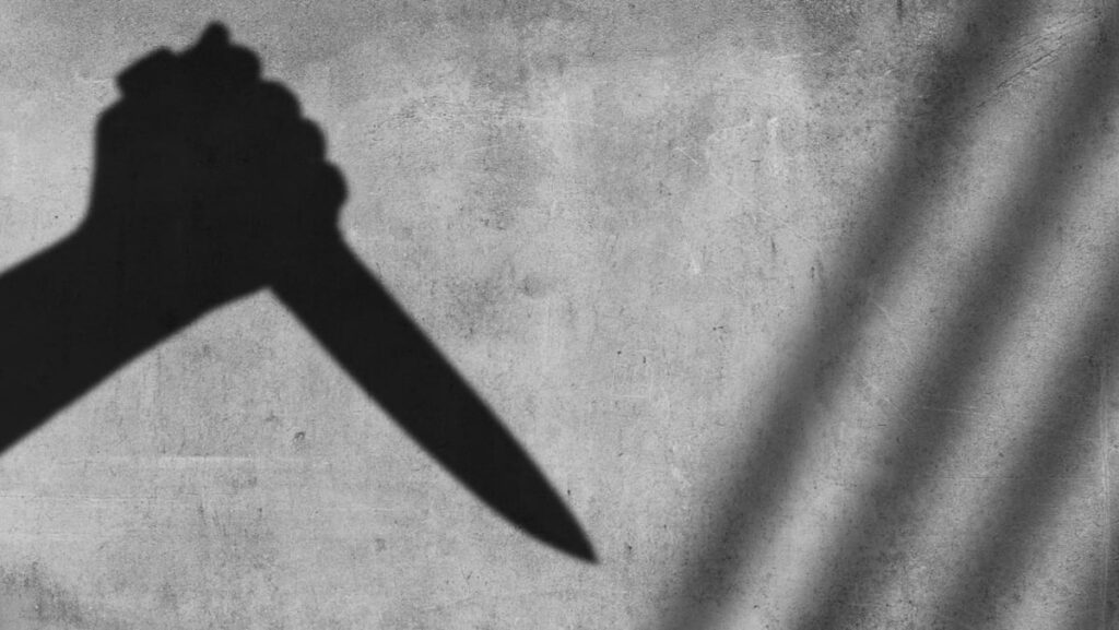 14 injured in Japan after stabbing, liquid spray assault: Emergency official | USAEMALL.com