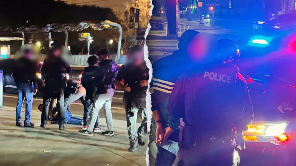 Photos present second Nick Reiner was arrested in homicide of his mother and father | USAEMALL.com