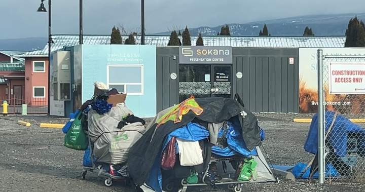 Rigid mannequin blamed for failed Penticton vote to approve tiny houses for the unhoused – Okanagan | USAEMALL.com