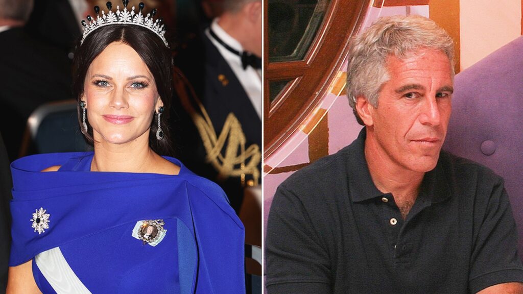 Swedish royal court docket admits Princess Sofia encountered Epstein in 2005 | USAEMALL.com