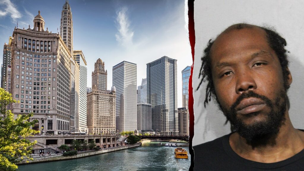 Chicago man with dozen arrests assaults physician in hospital elevator: report | USAEMALL.com