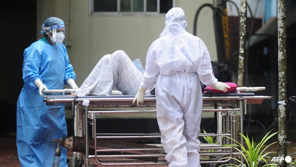 India confirms two Nipah virus instances, however scenario contained | USAEMALL.com