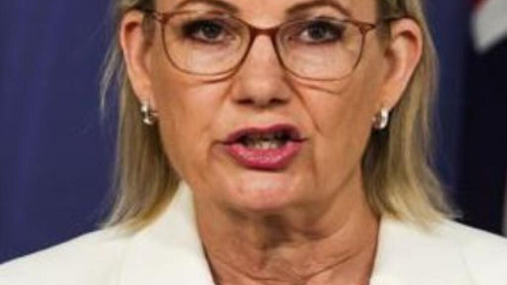 Liberals stoking management problem ‘frustrating’, Ley’s deputy says | USAEMALL.com