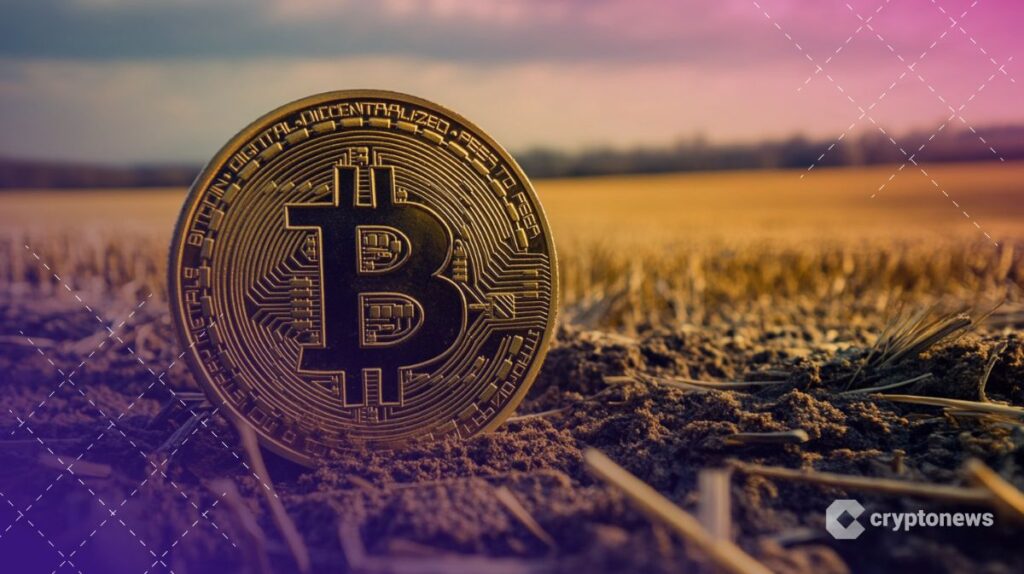 Morgan Stanley Names Exec To Lead Digital Asset Strategy | USAEMALL.com