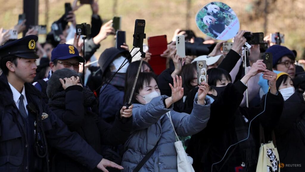 Japan’s beloved final pandas go away for China as ties fray | USAEMALL.com