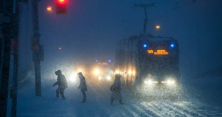 Seniors battle with chilly and loneliness in freezing temperatures and heavy snowfall | USAEMALL.com