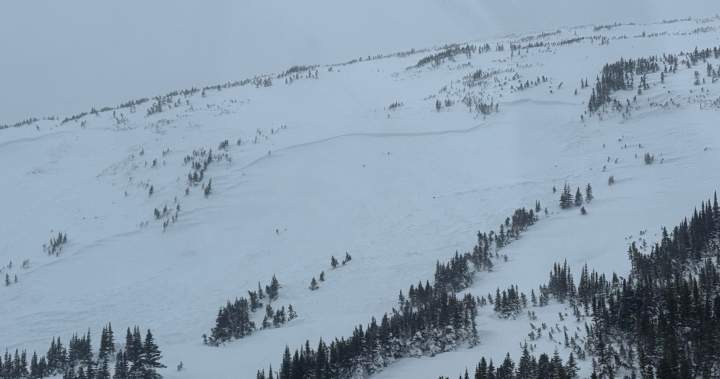 Snowmobiler dies in avalanche in Rocky Mountains in northeastern B.C. | USAEMALL.com