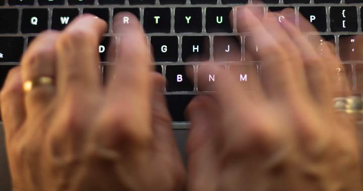 Ransomware is a ‘significant’ menace in Canada — and set to worsen: knowledge – National | USAEMALL.com