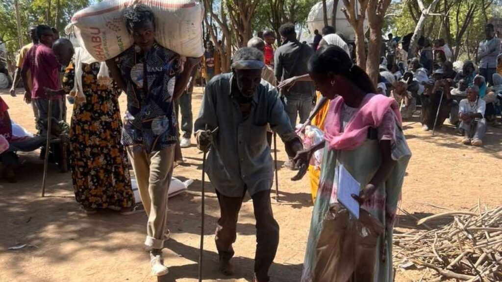 Hunger, demise, devastation: No respite in Tigray a yr after US help cuts | Humanitarian Crises News | USAEMALL.com