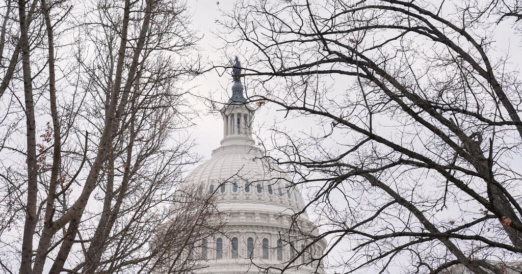 Congress debating doable penalties for ICE after Renee Good’s dying | USAEMALL.com