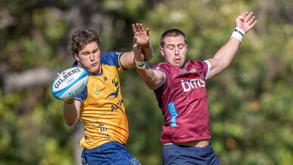 Super Rugby Pacific: Western Force back-rower Will Harris praises new assistants Brad Harris and Craig Dunlea | USAEMALL.com