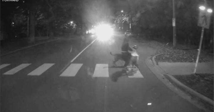 Video reveals shut name between younger household and Halifax Transit bus – Halifax | USAEMALL.com