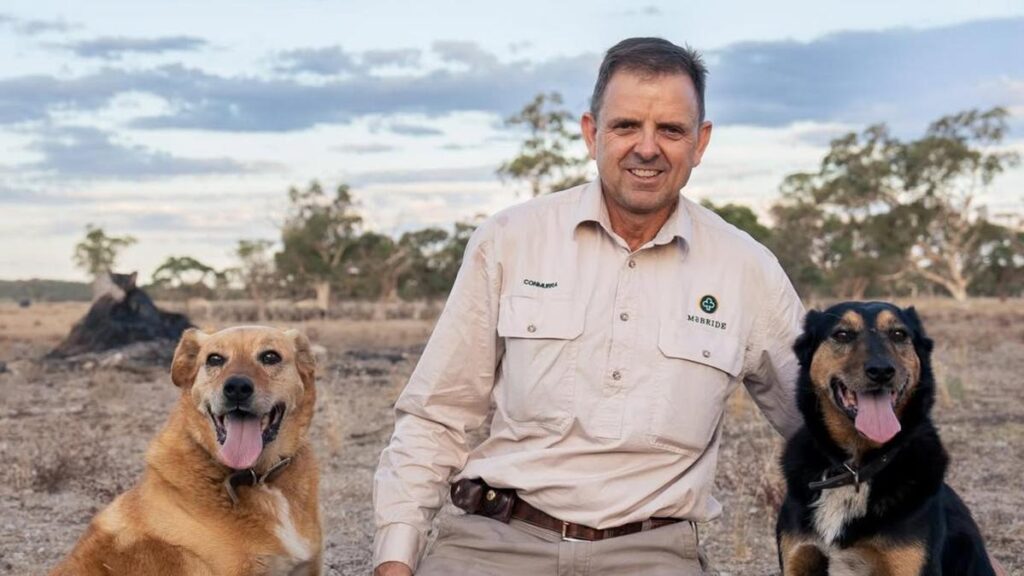 Independent MP Nick McBride charged over alleged assault of spouse bailed below strict circumstances | USAEMALL.com