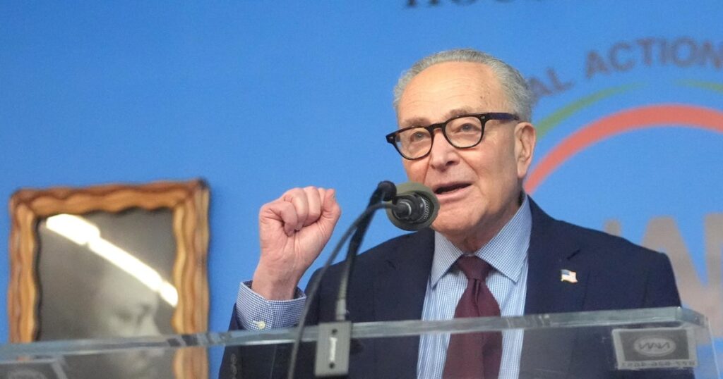 Democrats is not going to present votes to advance DHS funding invoice in wake of Minneapolis taking pictures, Schumer says | USAEMALL.com