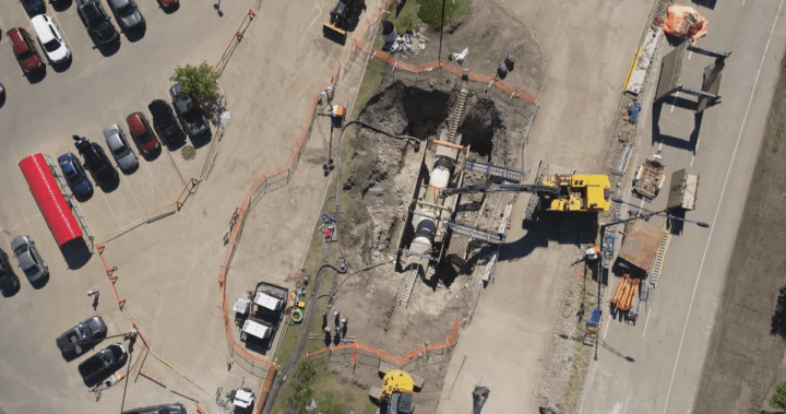 Current, former Calgary councillors say they weren’t conscious of feeder primary’s fragility – Calgary | USAEMALL.com