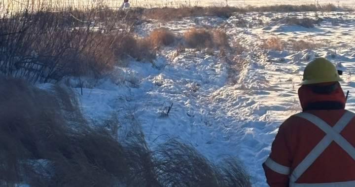 ‘The entire nation was just black’: Power line repaired after ‘scary’ outage in northern Man. – Winnipeg | USAEMALL.com