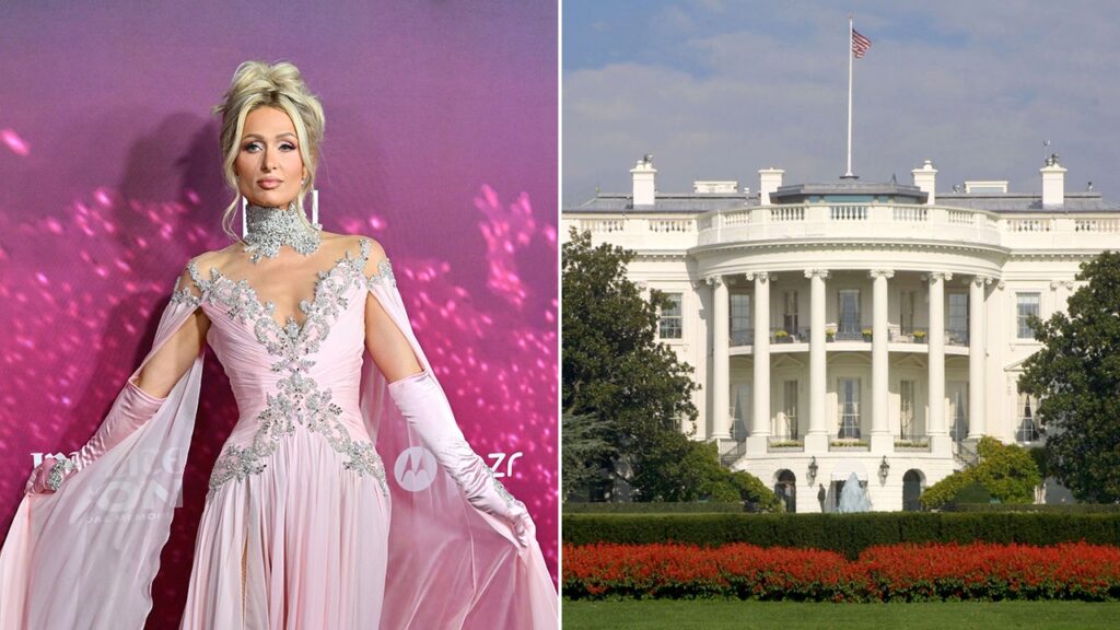 Paris Hilton says she’d need to paint White House pink if she ran for workplace | USAEMALL.com