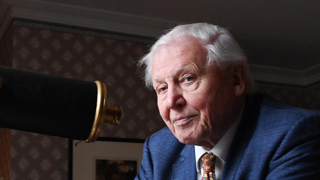 David Attenborough’s one hundredth marked by three new exhibits | USAEMALL.com