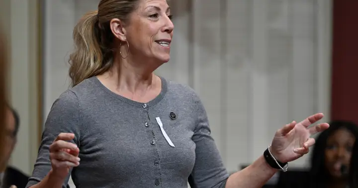 Quebec politician praised for talking brazenly about menopause symptom in legislature | USAEMALL.com