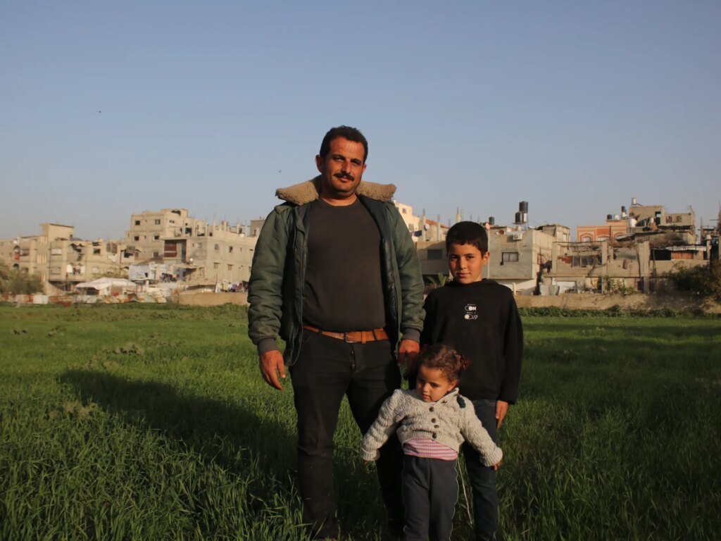 Farmers in Gaza danger Israeli bullets to deliver their fields again to life | Israel-Palestine battle | USAEMALL.com