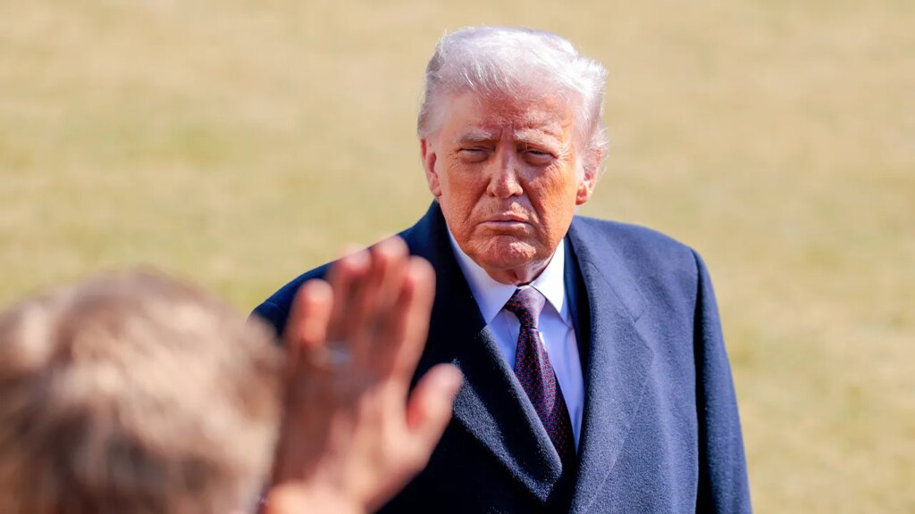 Trump skips endorsement in Texas Senate main, days forward of election day | USAEMALL.com