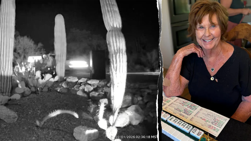 Nancy Guthrie case: Neighbors’ Ring digital camera reveals potential new proof | USAEMALL.com