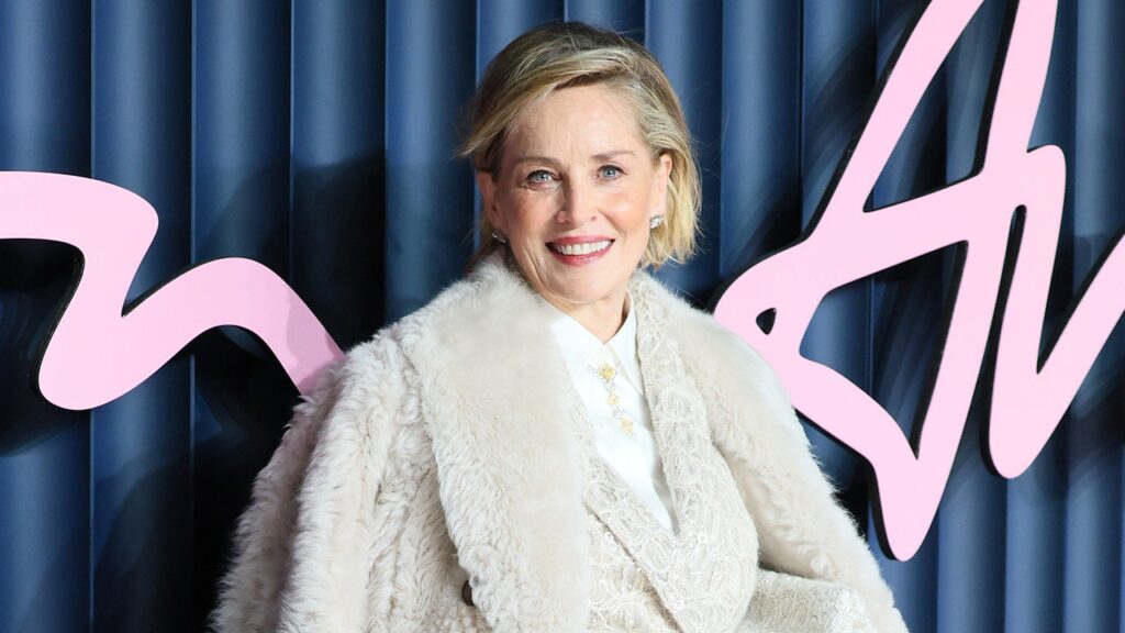 Sharon Stone calls out Hollywood hypocrisy over nudity in Instagram video | USAEMALL.com