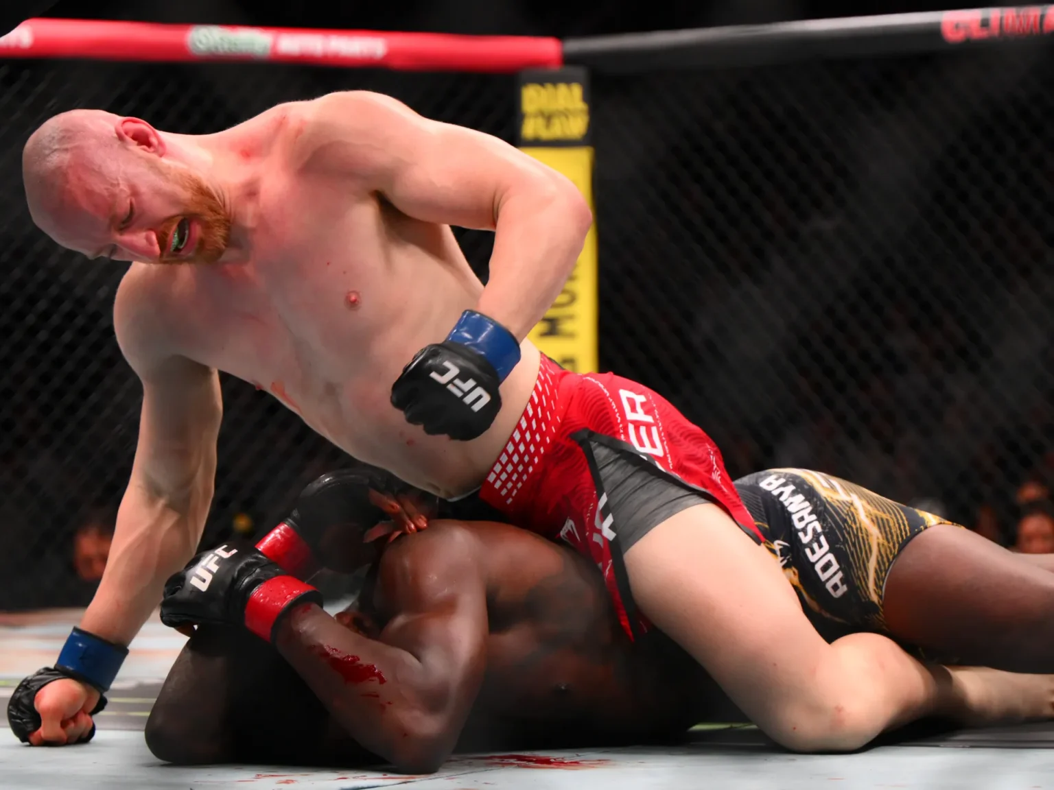 Israel Adesanya knocked out by Joe Pyfer at UFC Fight Night in Seattle | Mixed Martial Arts News | USAEMALL.com