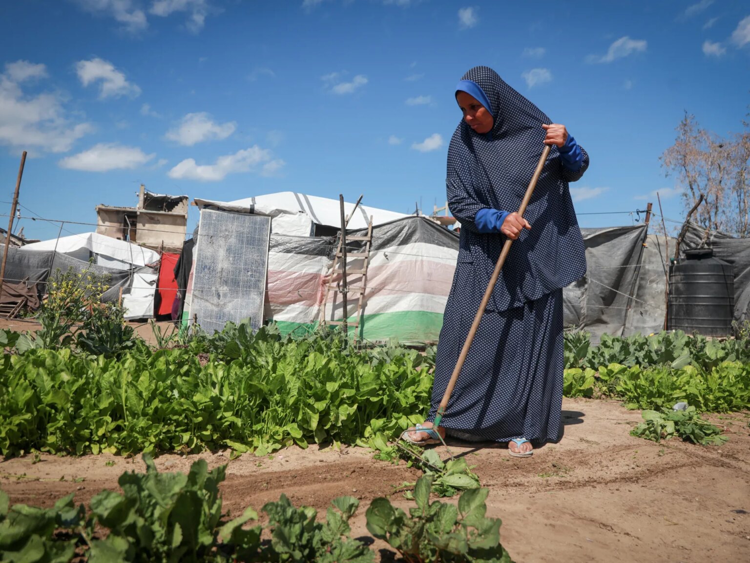 Land Day in Gaza: Between reminiscence and the combat for what stays | Gaza | USAEMALL.com