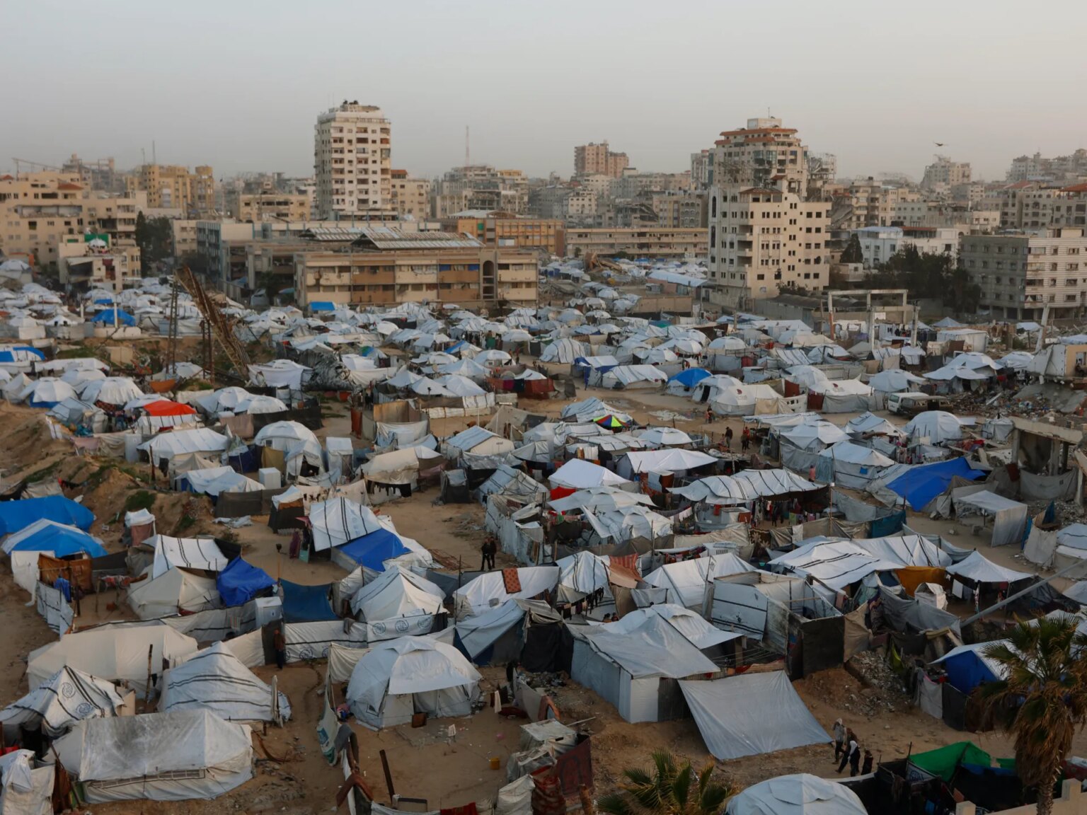 Details revealed of Board of Peace plan for Gaza disarmament | Israel-Palestine battle News | USAEMALL.com