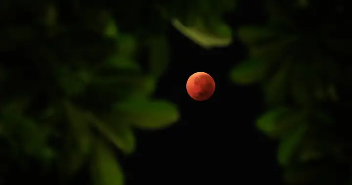 ‘Blood moon’ seen throughout Canada in a single day, early morning: NASA | USAEMALL.com