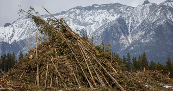 Alberta mountain cities cope with ‘low-grade anxiety’ as wildfire season begins | USAEMALL.com
