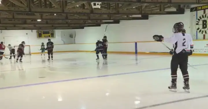 Tumbler Ridge, B.C., and Taber, Alta. named high 2 Hockeyville finalists | USAEMALL.com