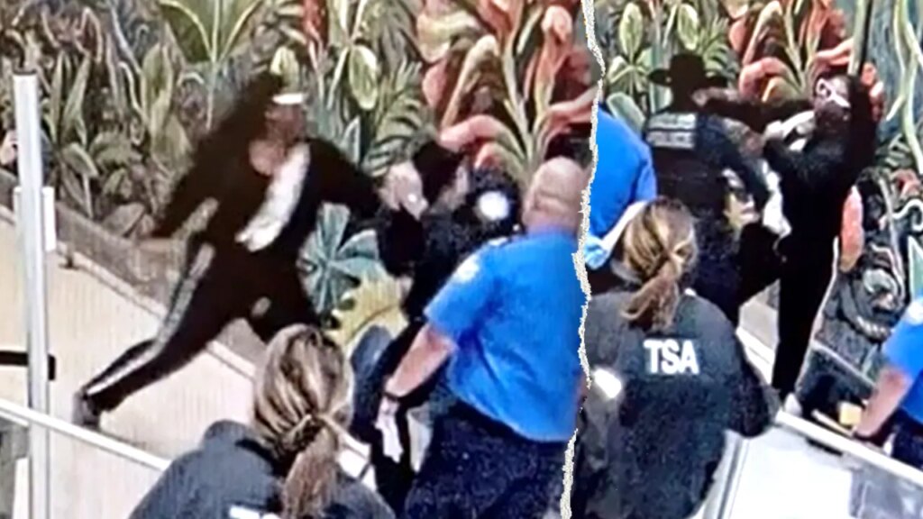 California man charged for allegedly attacking TSA, police at Dallas airport | USAEMALL.com