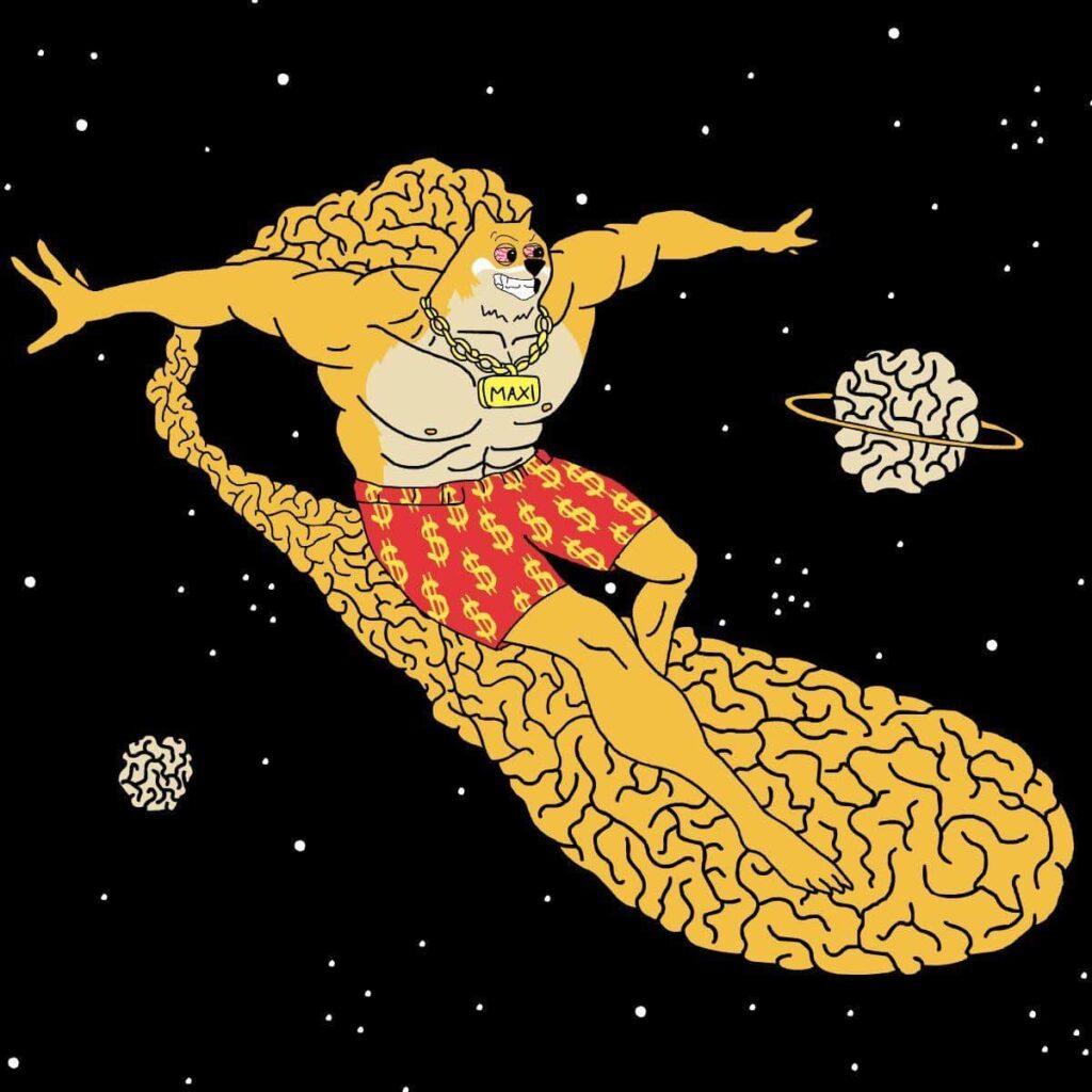 MemeCore Hard Fork Sends M Up 35% as Flows Extend to MAXI | USAEMALL.com