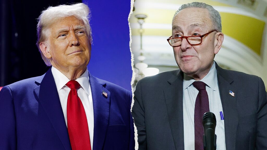Schumer calls Trump’s plan to deploy ICE brokers to US airports ‘impulsive’ | USAEMALL.com