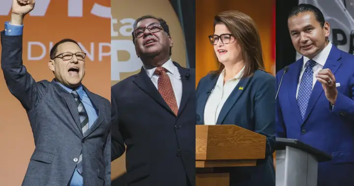 Lewis’ election as NDP chief divides get together’s Western base | USAEMALL.com