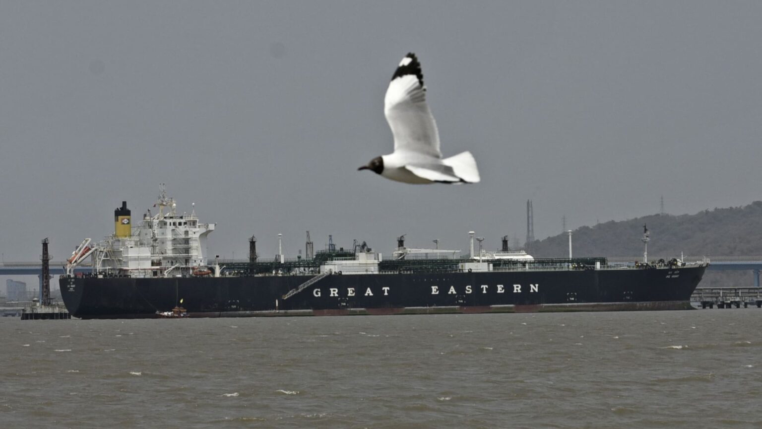 5 issues to know earlier than the market opens Thursday | UNW