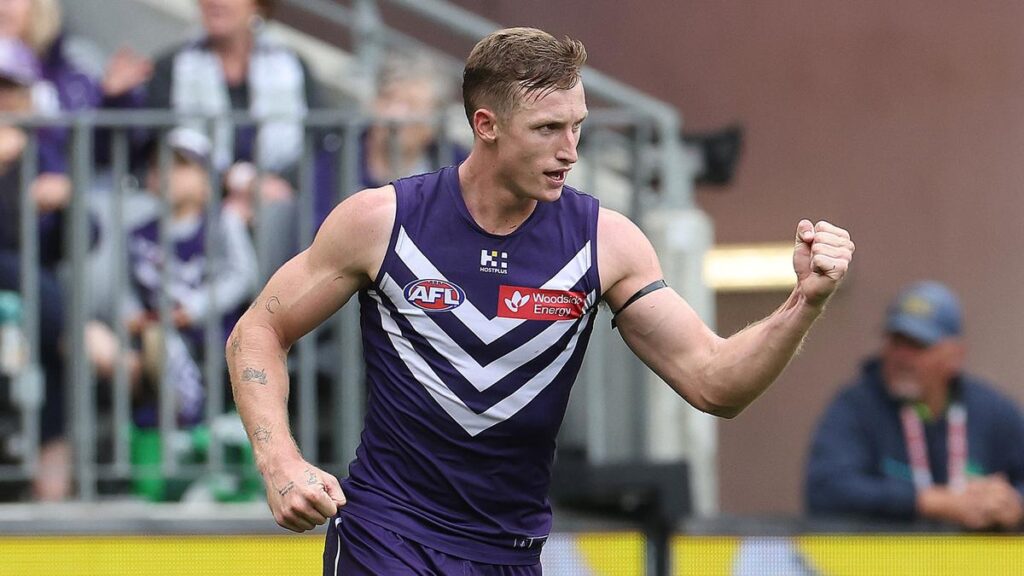 Former captain Peter Bell says Fremantle ahead Josh Treacy is a contender to be subsequent Dockers captain | USAEMALL.com