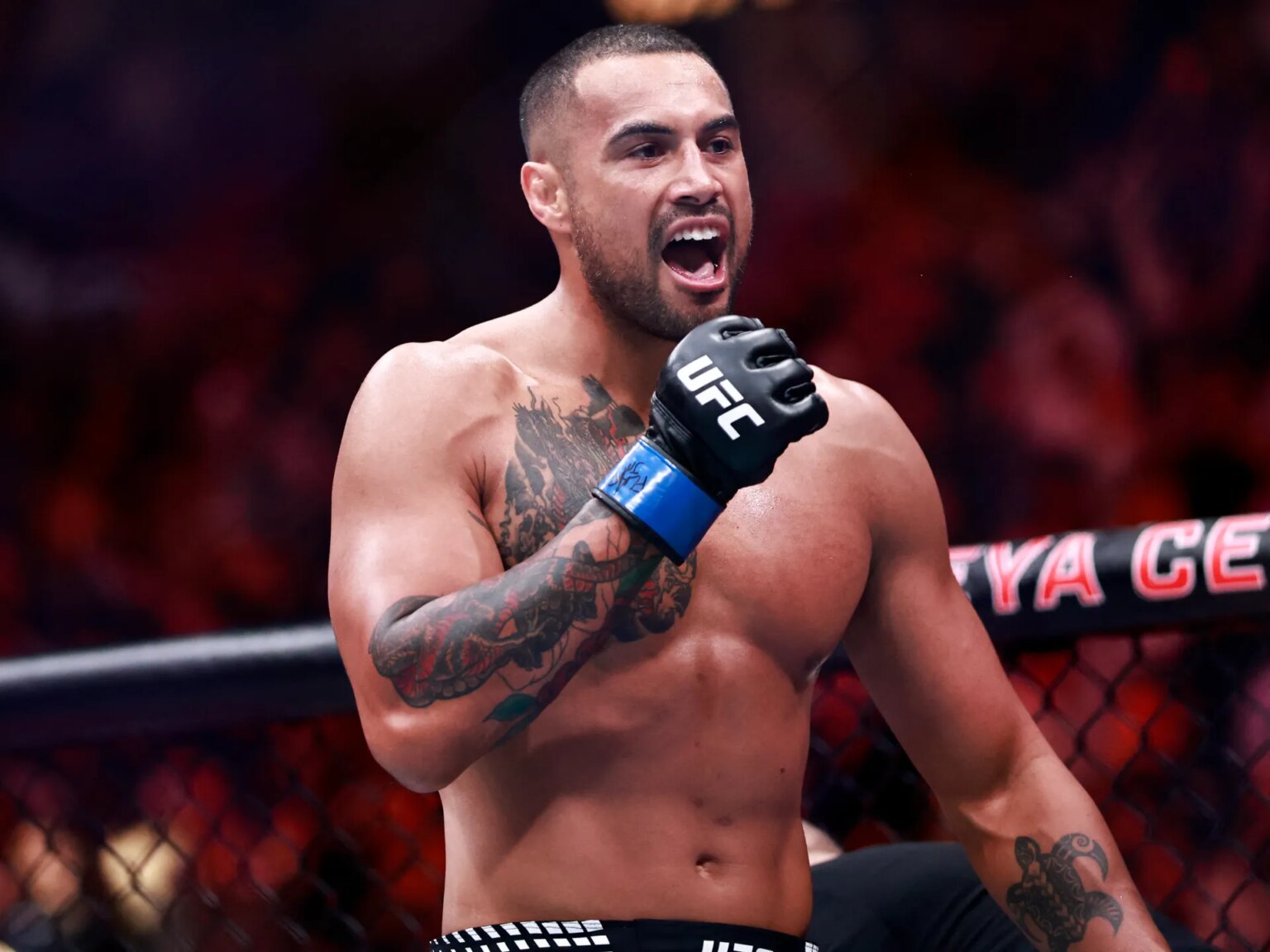 UFC 327: Ulberg wins light-heavyweight belt with knockout in entrance of Trump | Mixed Martial Arts News | UNW