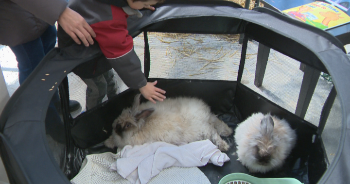 A have a look at Easter celebrations in Saskatoon – Saskatoon | UNW