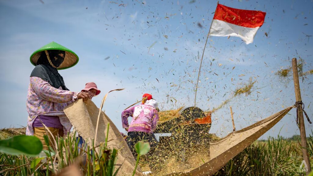From farms to labs, Indonesia bets on higher seeds to spice up meals safety | UNW
