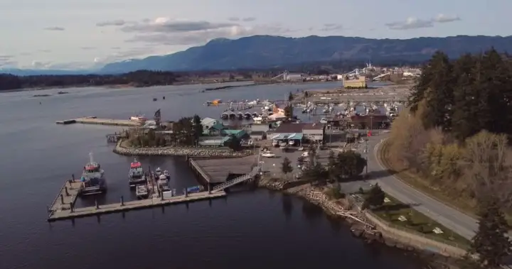 Port Alberni harbour residents say noise air pollution is affecting their lifestyle – BC | UNW