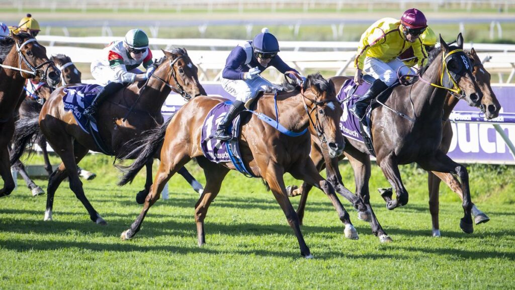 Luana Miss will get key jockey reserving with high native hoop Chris Parnham aboard for Quokka | UNW