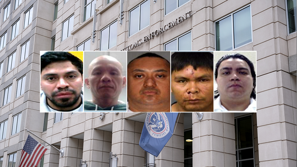 ICE stories extra felony migrants arrested as sufferer assist program marks one yr | UNW