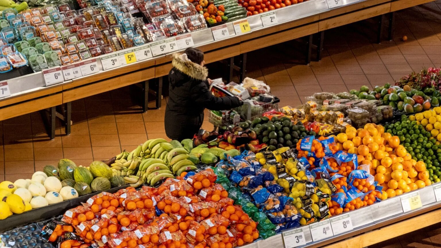 Could the Iran battle pose lasting dangers to world meals safety? | US-Israel battle on Iran | UNW